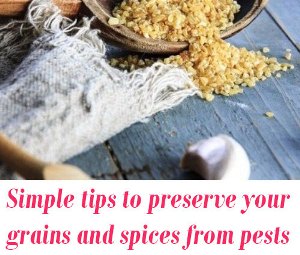 tips to preserve your grains and spices from pests