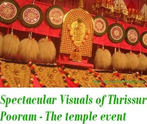 Thrissur Pooram photos