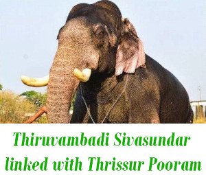 Story of Thiruvambadi Sivasundar