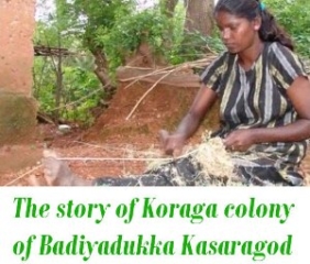 Koraga colony of Badiyadukka