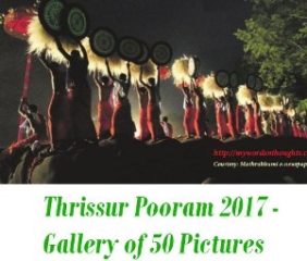 Thrissur Pooram 2018 Pictures