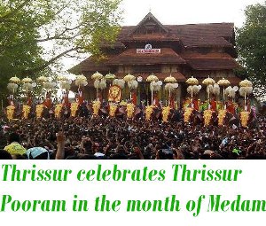 Thrissur Pooram medam