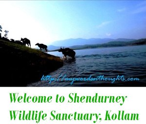 Shendurney Wildlife Sanctuary, Kollam