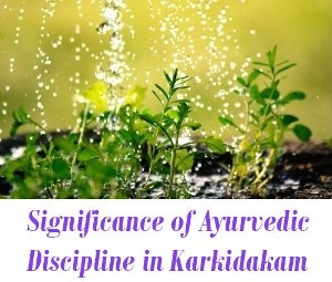 Ayurvedic Discipline in Karkidakam Month