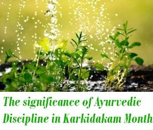 Ayurvedic Discipline in Karkidakam