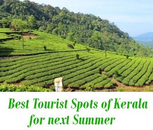 When You Visit Kerala Next Summer