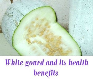 ash gourd for health