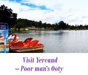 Yercaud tourism
