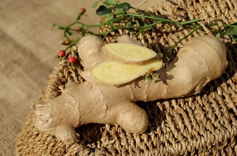Ginger health benefits