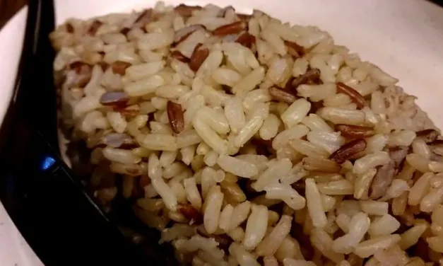 Which Kerala products have received GI – The seal of pride?