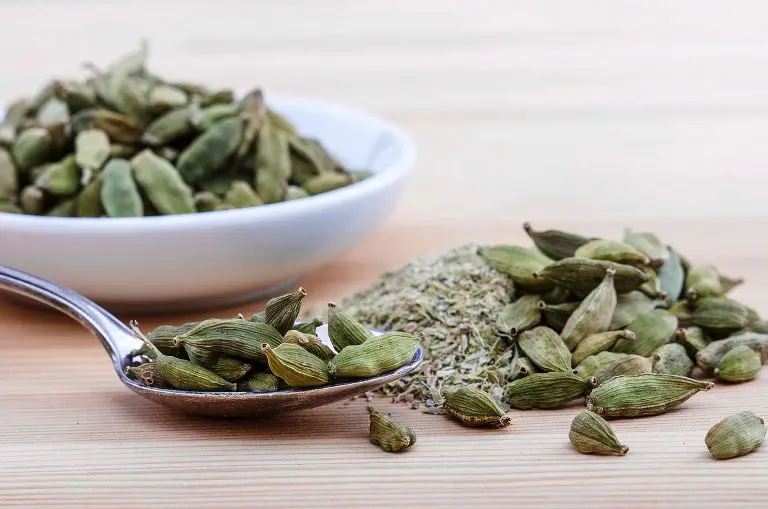 Medicinal Benefits of Spices