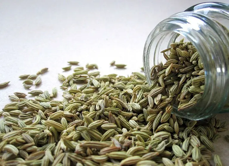 fennel seeds health benefits