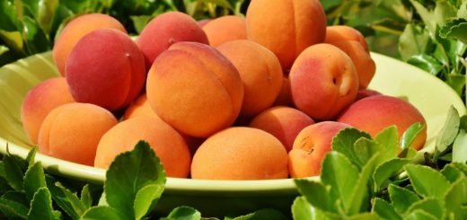 apricot health facts