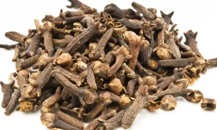 Spicy Cloves – What are their health benefits?