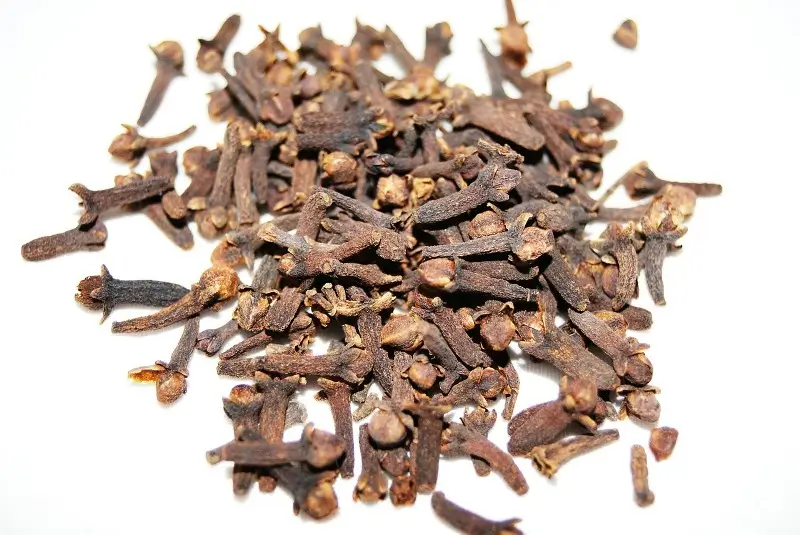 cloves health benefits