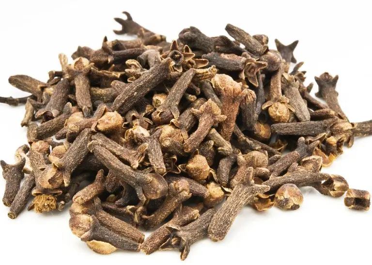 Spicy Cloves – What are their health benefits?