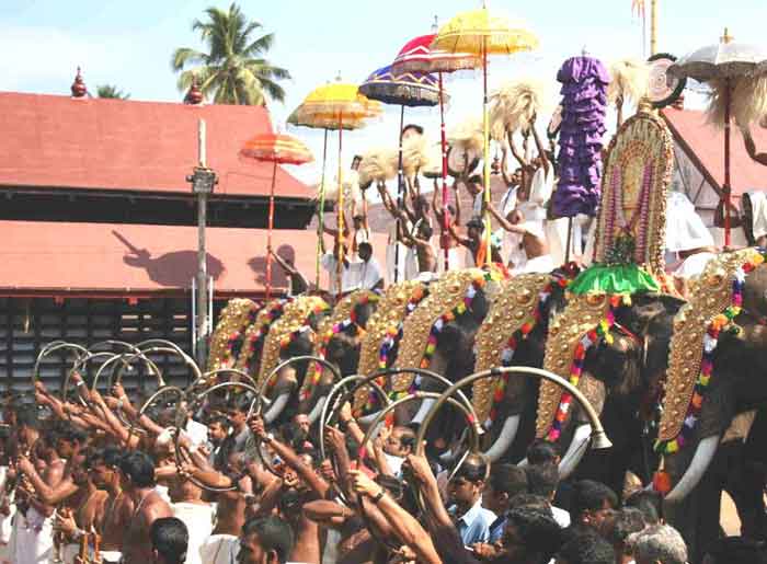 elephants of pooram