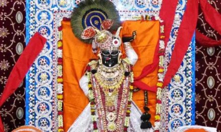 A pilgrim journey to Sacred Shrinathji Temple, Nathdwara