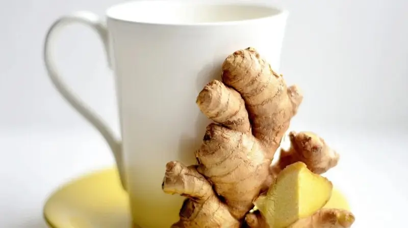 Different types of tea