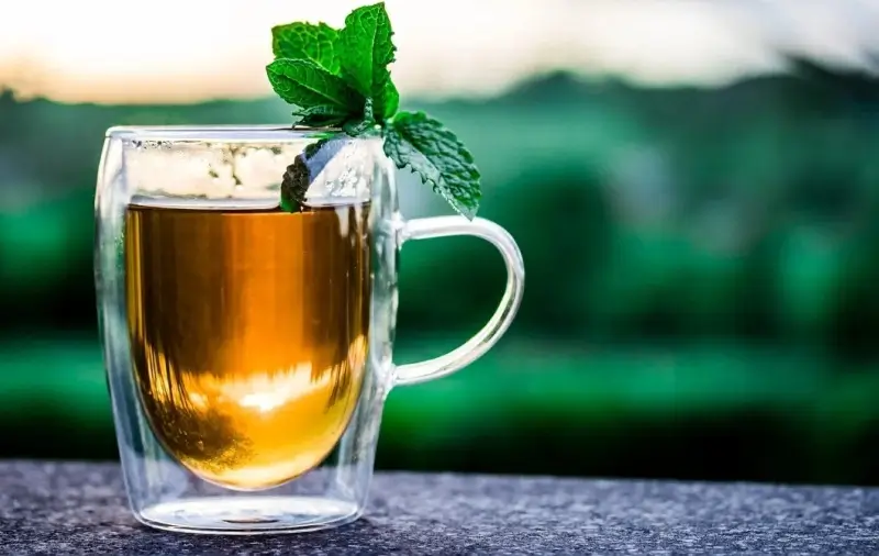 Green tea preparation