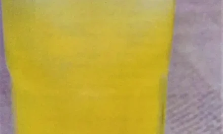 Aam Panna