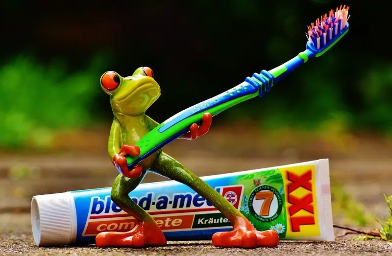 10 Amazing Uses for Your Old Toothbrush